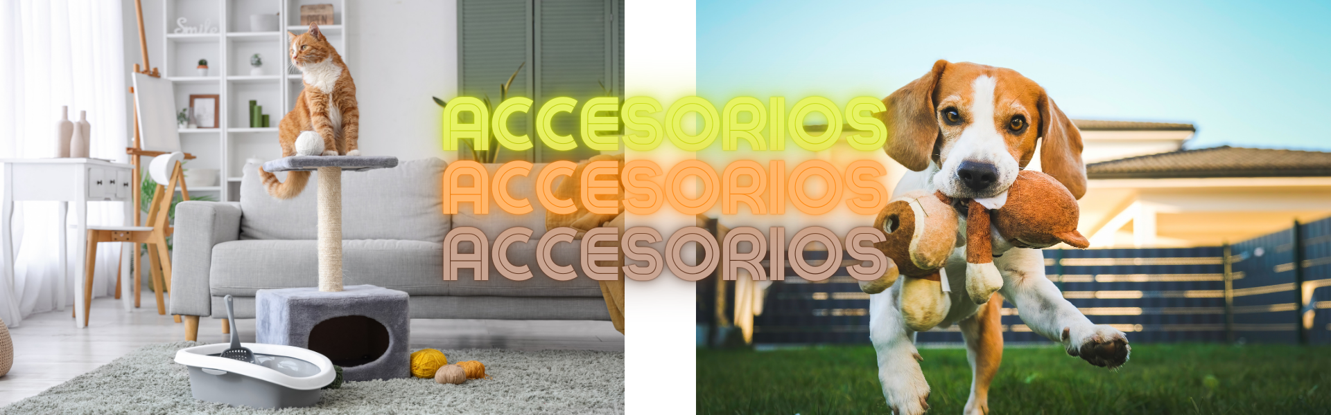 Accesorios